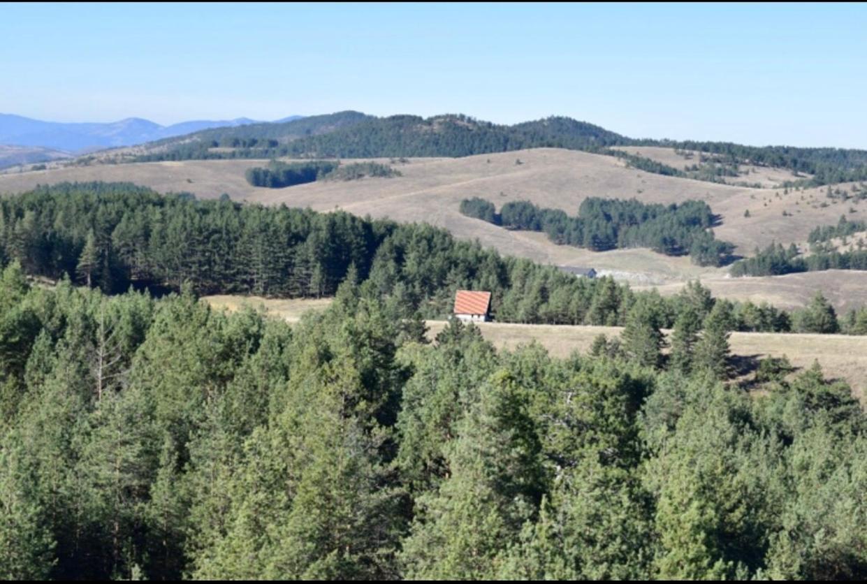 Ng Apartmani Tornik ซลาตีบอร์ ภายนอก รูปภาพ
